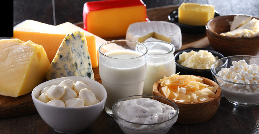 Línea de Elaboración de Productos Lácteos 1 lacteos
