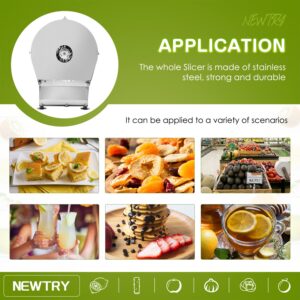 NEWTRY Cortador Eléctrico Manual de Verduras Comercial, Triturador de Frutas de 0 a 10 mm, Hoja de Acero Inoxidable para Cebo